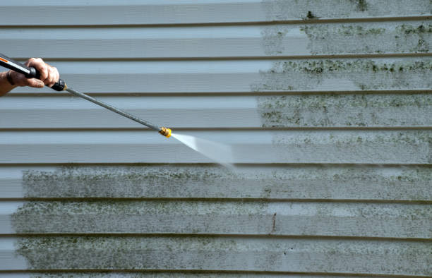 Professional Mold Removal in Spring City, UT